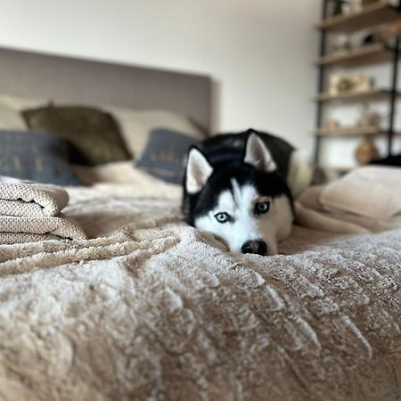 Apartman Freya Ліптовський Мікулаш Екстер'єр фото